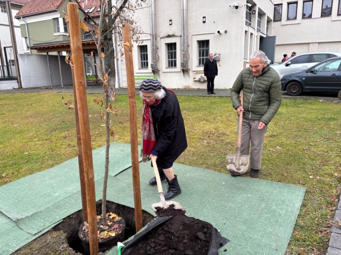 Anne Barth fát ültet a nagyapa nyomában